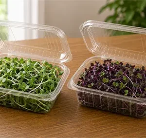 Fresh organic microgreens in two sealed containers for Dense Grower classic subscription plan