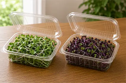 Fresh organic microgreens in two sealed containers for Dense Grower classic subscription plan
