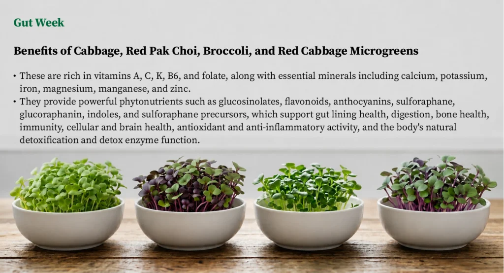 Signature Four Gut health microgreens plan featuring cabbage, red pak choi, broccoli, and red cabbage microgreens