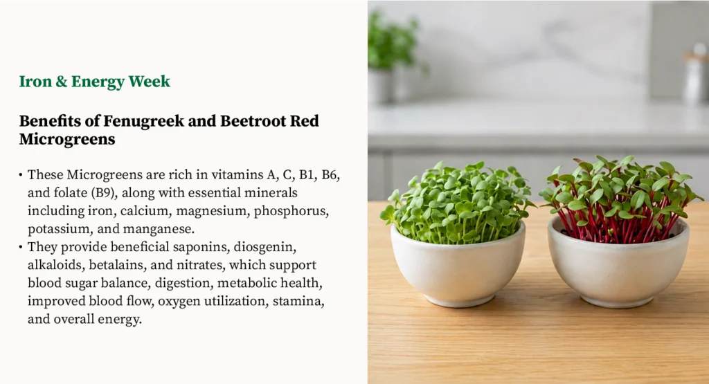 Classic Pair Iron and energy microgreens plan featuring fenugreek and beetroot red microgreens