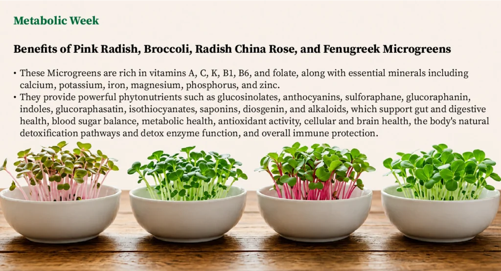 Signature Four Metabolic health microgreens plan with pink radish, broccoli, radish china rose, and fenugreek microgreens