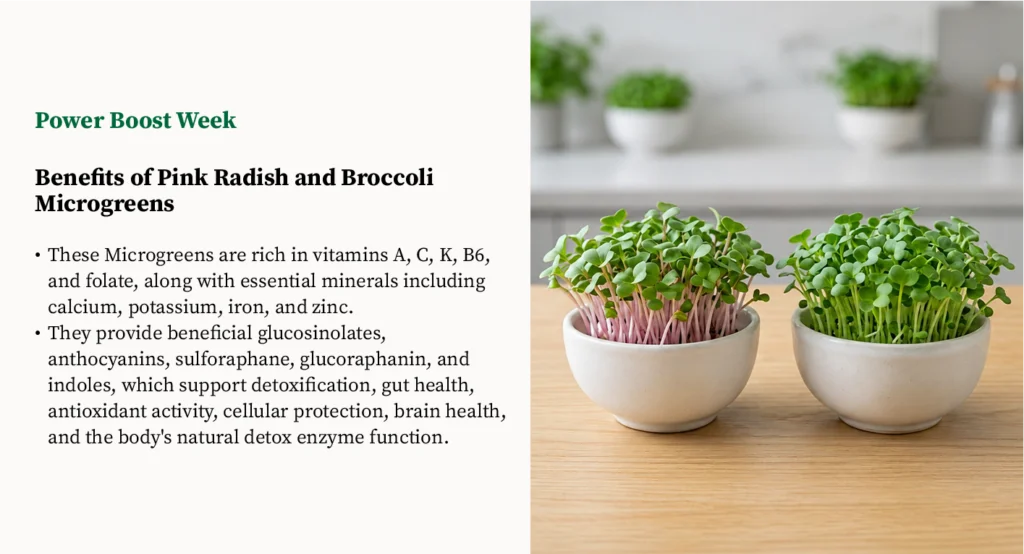 Classic Pair Power boost microgreens plan featuring pink radish and broccoli microgreens