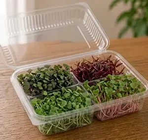 Four varieties of fresh organic microgreens in a compartment tray for Dense Grower signature subscription plan