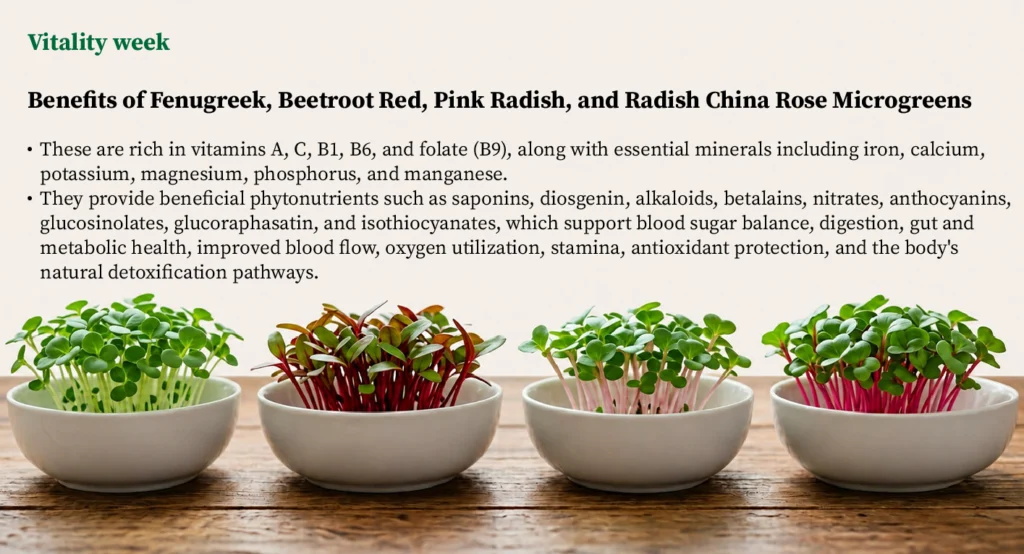 Signature Four Vitality microgreens plan with fenugreek, beetroot red, pink radish, and radish china rose microgreens